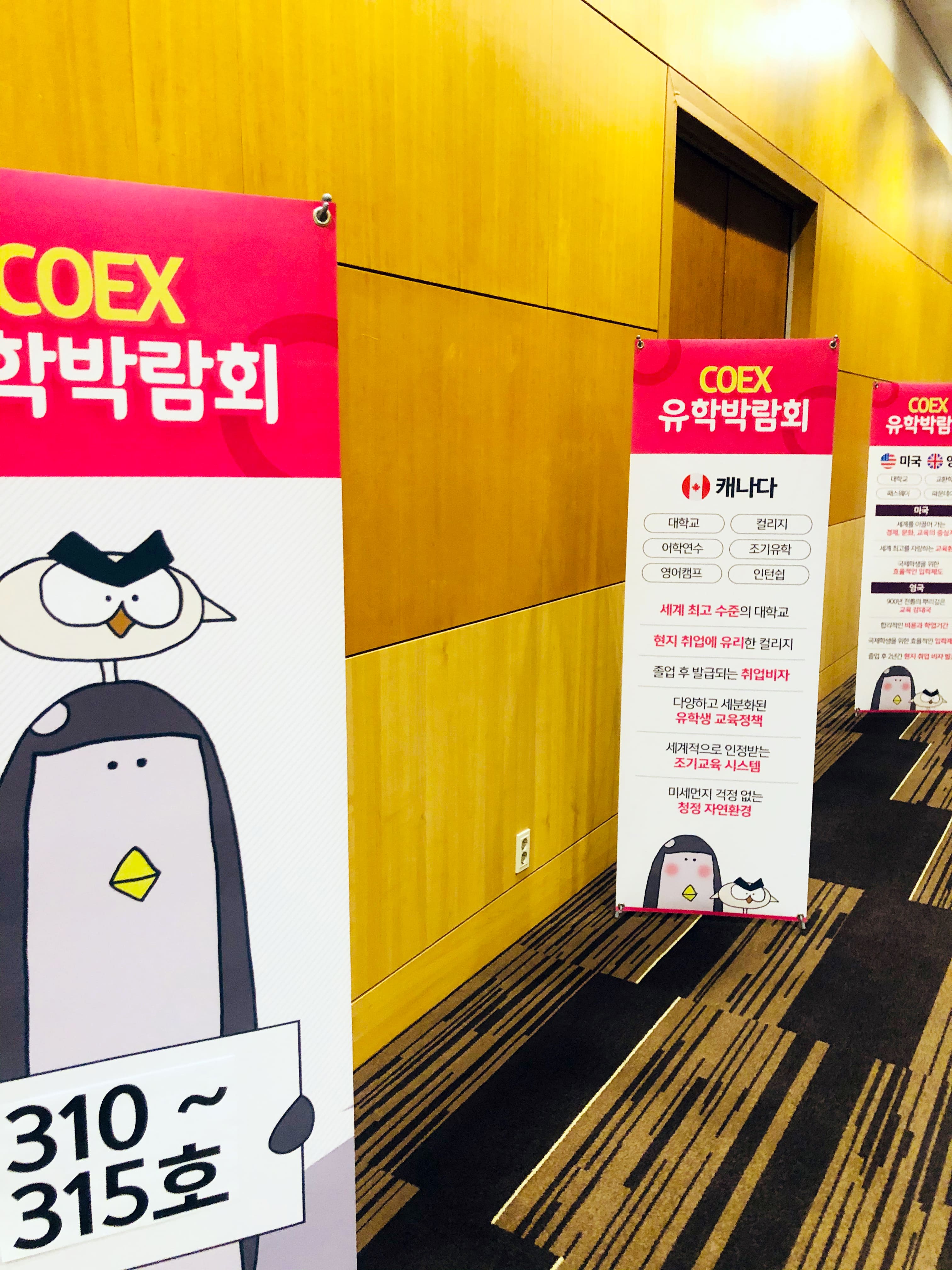 유학피플 이미지 12